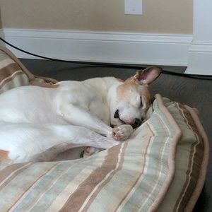 Meet your Posher, Mia